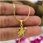 BS Women's Gold Color Lord Hanuman Temple Locket