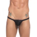 BS  Men's Cotton Spandex Handsome Hunk Thong Brief Underwear (Black)