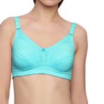 SW Hushh Sky Blue Plus Size Regular Fit Bra