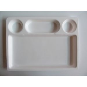 SW Chhajer Handicraft Acrylic 4 Partition Plat