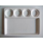 SW Chhajer Handicraft Acrylic 5 Partition Plate