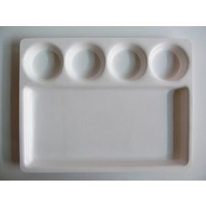 SW Chhajer Handicraft Acrylic 5 Partition Plate