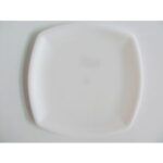 SW Chhajer Handicraft Acrylic Square Plate 13"