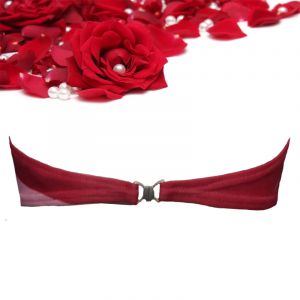 SW Red Stripes Comfort Tube Bra