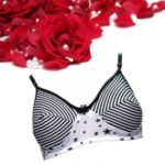 SW Shilpa Black Stripes Star Printed Everyday Bra