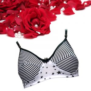 SW Shilpa Black Stripes Star Printed Everyday Bra